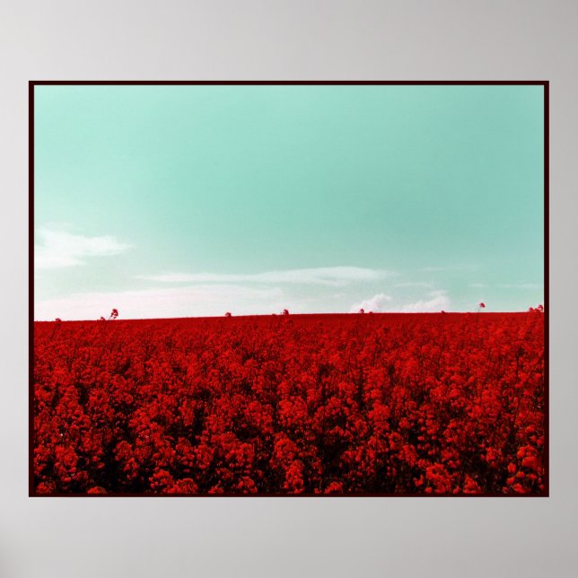 STRAWBERRY FIELDS FOREVER POSTER (Vorne)