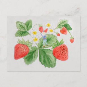 Strawberry Gnome Postcard Postkarte