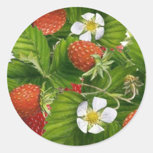 Strawberry Patch Runder Aufkleber