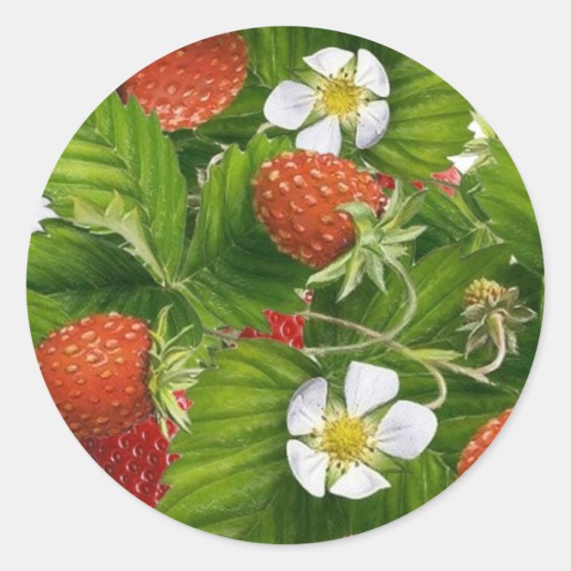 Strawberry Patch Runder Aufkleber (Vorderseite)