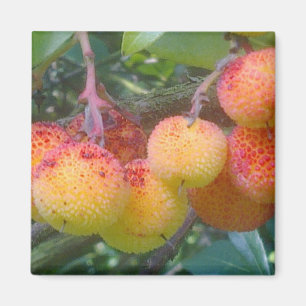 Strawberry Tree Fruit Magnet