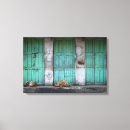 Stray dogs vor schmutziger grüner Leinwand