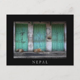Stray Hunde vor schmutzigen grünen Türen in Nepal Postkarte