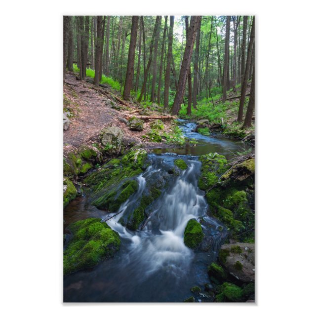 Stream Along the Trail  Fotodruck (Vorne)