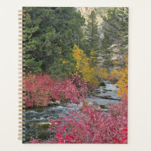 Stream Blooms Planner