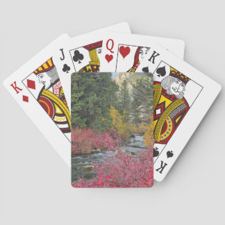 Stream Blooms Spielkarten
