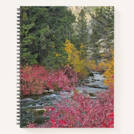 Stream Blooms Spiral Notebook Notizbuch