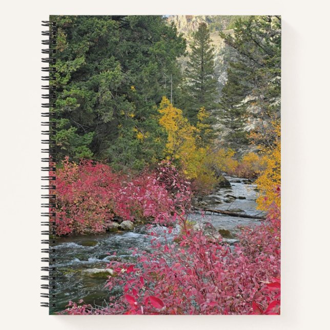 Stream Blooms Spiral Notebook Notizbuch (Vorderseite)