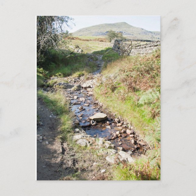 Stream Coniston Cumbrai England Card Postkarte (Vorderseite)