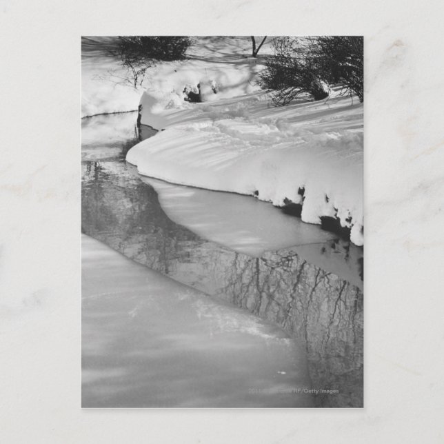 Stream im Winter B&W Postkarte (Vorderseite)