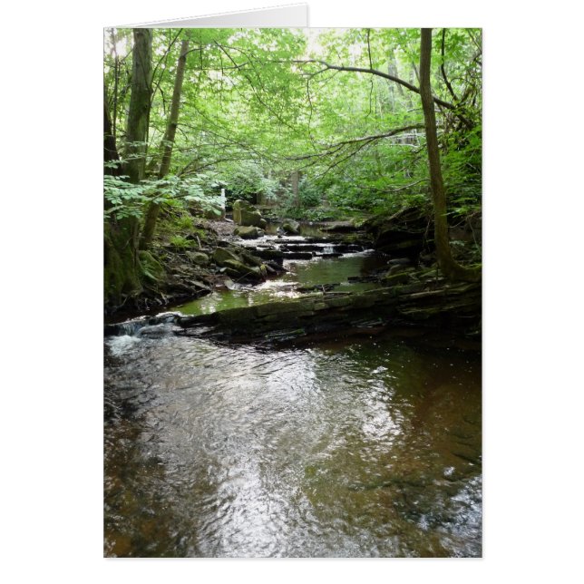 "Stream in Northumberland Woods" (2) (Devant)