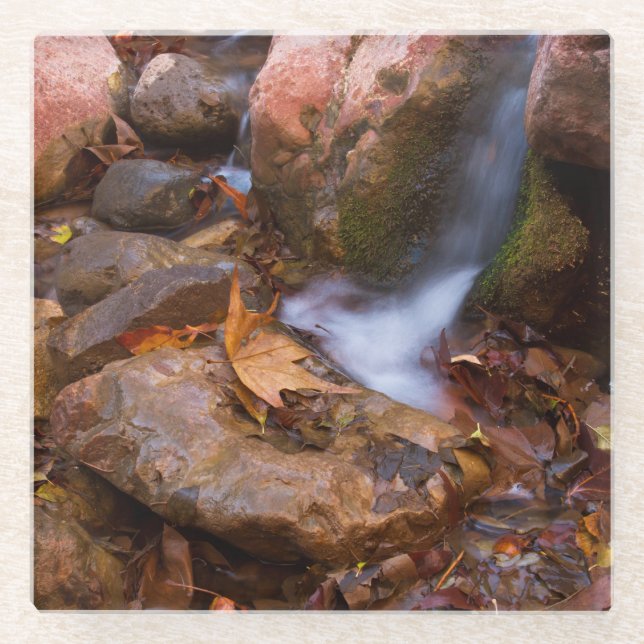 Stream in Payson, Arizona Glasuntersetzer (Vorderseite)