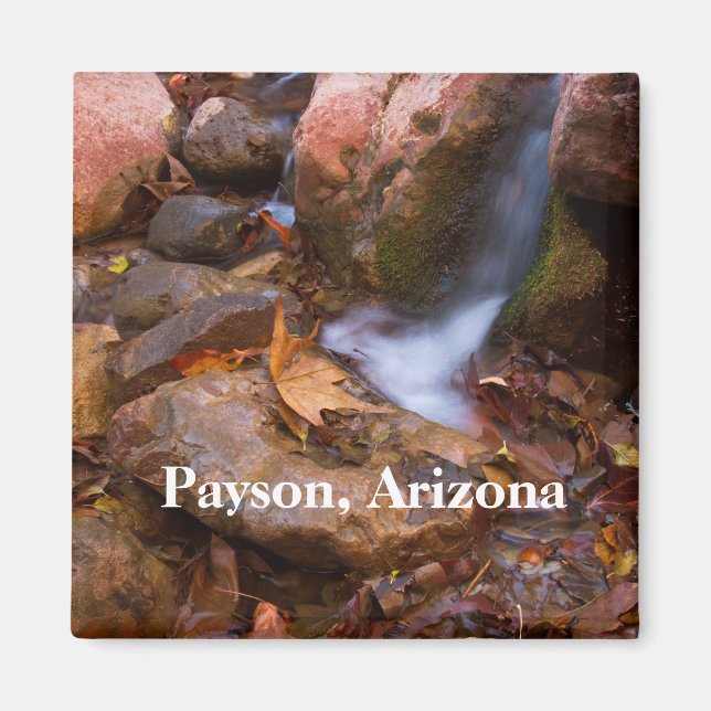Stream in Payson, Arizona Magnet (Vorne)