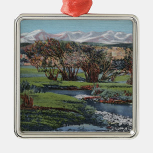 Strecke Trinidads, Colorado - Snowy-u. Tal-Ansicht Silbernes Ornament