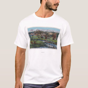 Strecke Trinidads, Colorado - Snowy-u. Tal-Ansicht T-Shirt