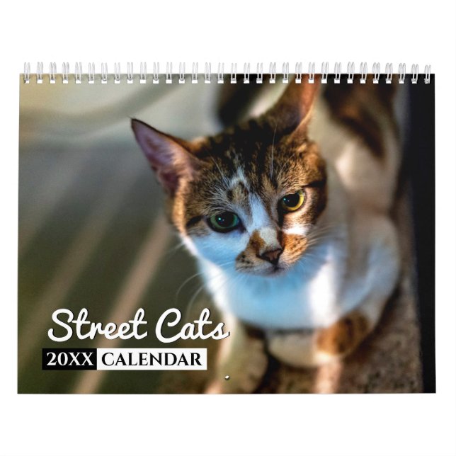 Street Cats Photo Wall Calendrier (Protection)
