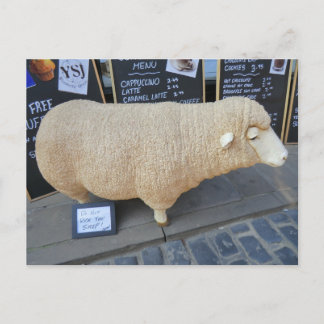 Street Sheep Postkarte