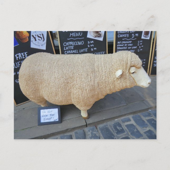 Street Sheep Postkarte (Vorderseite)