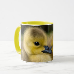STREICHELNDE KÜKEN TASSE