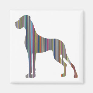 Streifen-Däne Magnet