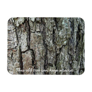 Streifen Sie diesen alten Baum kann ein Geheimnis Magnet