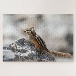 Streifenhörnchen auf den Felsen – Schnappschuss au