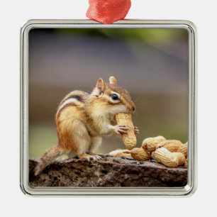 Streifenhörnchen beim Verzehr einer Erdnuss Silbernes Ornament