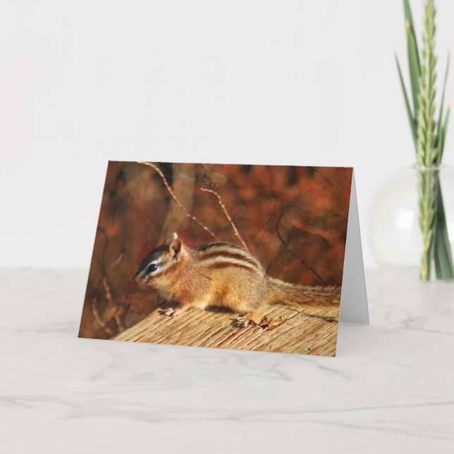 Streifenhörnchen-Gelegenheitskarte Karte (Vorderseite)