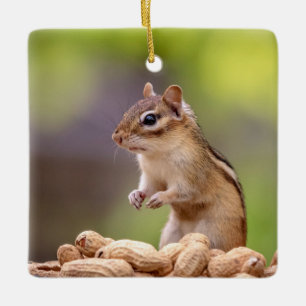 Streifenhörnchen mit Erdnüssen Keramikornament