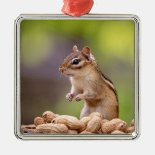 Streifenhörnchen mit Erdnüssen Silbernes Ornament
