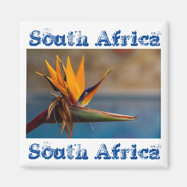 Strelitzia Blume Südafrika Naturmagnet Magnet (Vorne)
