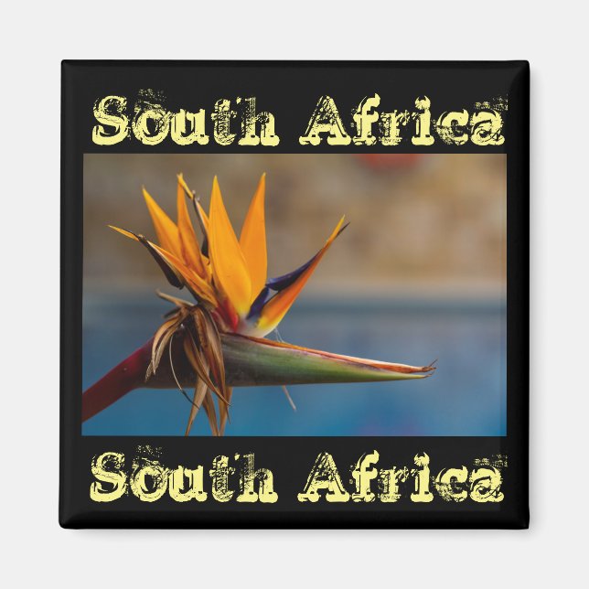 Strelitzia Blume Südafrika Naturmagnet Magnet (Vorne)