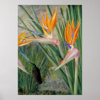 Strelitzia by Marianne North - Exotische Landschaf