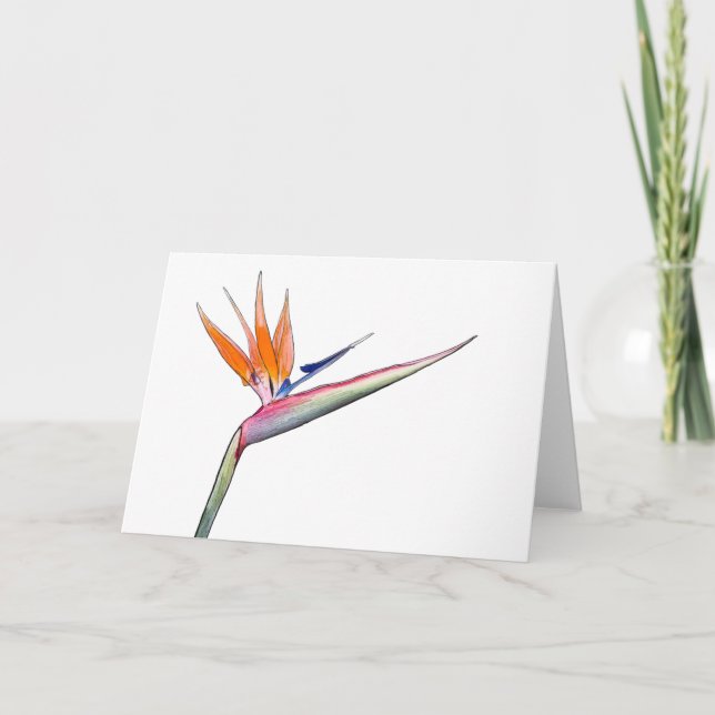 Strelitzia Card Feiertagskarte (Vorderseite)