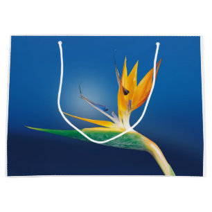 Strelitzia. Paradiesvogel Blume Große Geschenktüte