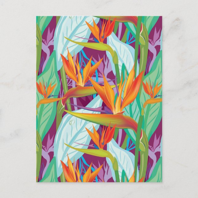 Strelitzia Pattern Postkarte (Vorderseite)