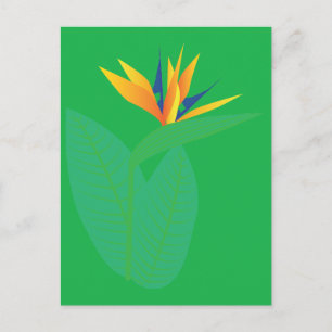 Strelitzie Postkarte