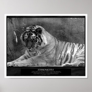 Strength as a Christian Poster