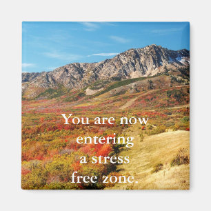 Stress Free Magnet