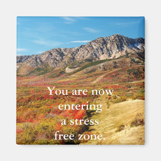 Stress Free Magnet (Devant)