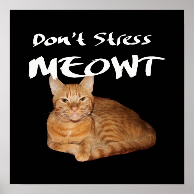 Stress Meowt nicht - Orange Cat Stress Me out Poster (Vorne)