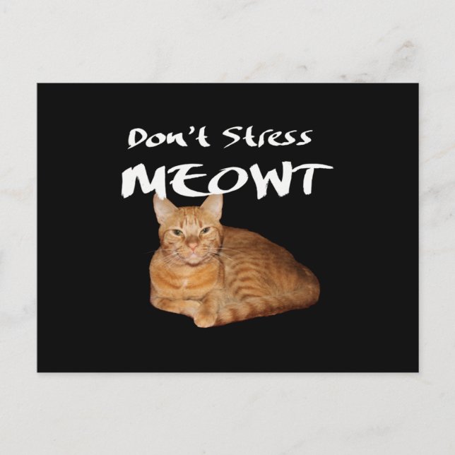 Stress Meowt nicht - Orange Cat Stress Me out Postkarte (Vorderseite)