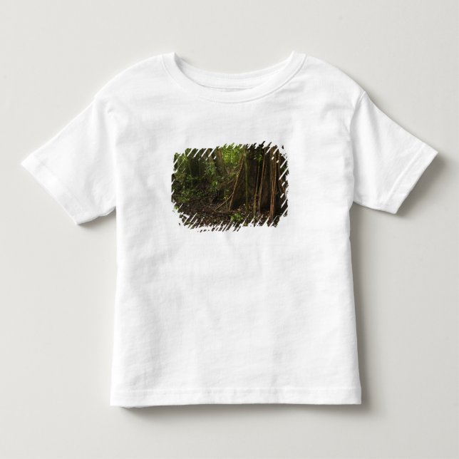 Stress Roots. Regenwald, Mapari Rupuni, Kleinkind T-shirt (Vorderseite)