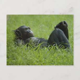 Stressabbau Postkarte