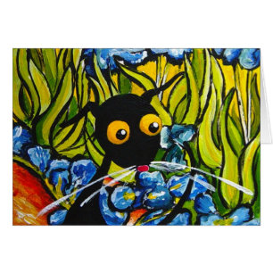 Stressie dans les iris