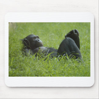Stresssanierung Mousepad