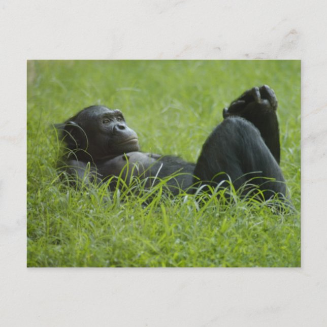 Stresssanierung Postkarte (Vorderseite)