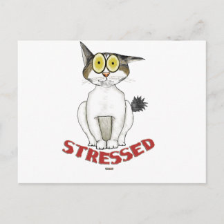 Stresste Cat Lucy Postkarte