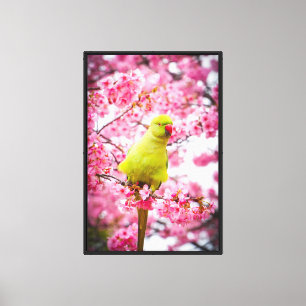 Stretched Canvas Print - Cherry Blossom Parakeet Leinwanddruck
