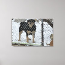 Stretched Canvas Print Hund hinter Zaun